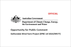 Gelliondale Wind Farm - Opportunity for public comment